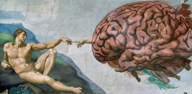 Человеческий мозг на картине Микеланджело