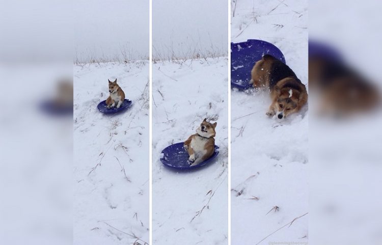 Этот неловкий момент