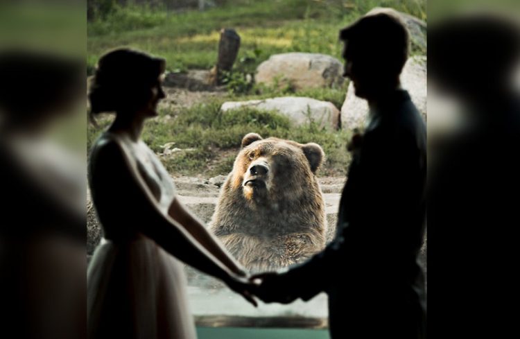 свадебные фото с животными