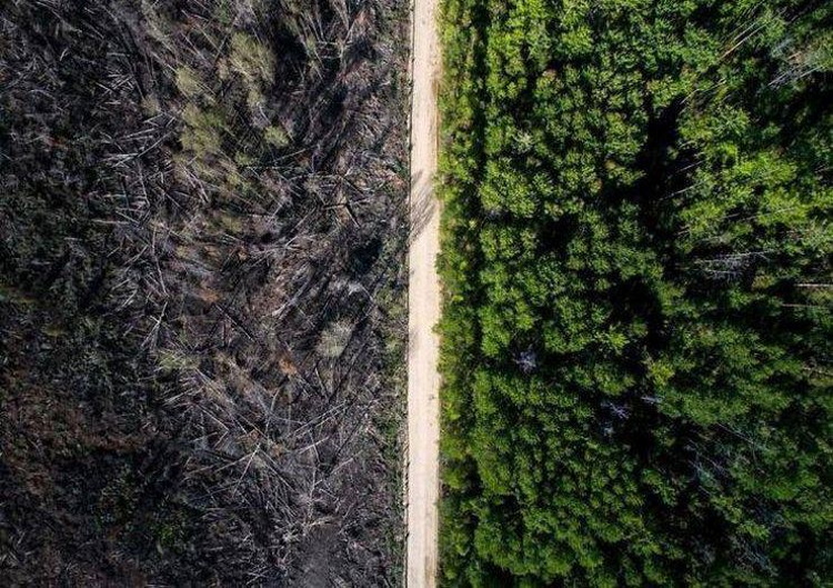 Фото, которые помогут сравнить несравнимое