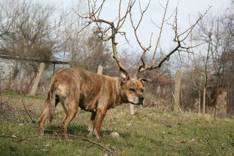 30 чудных снимков, где точка съемки решает все