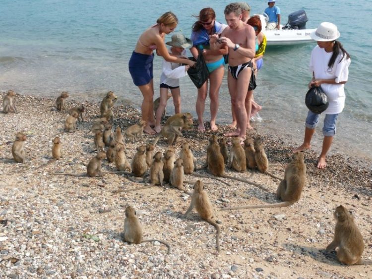 zabavnyye foto iz Tailanda sdelannyye turistami