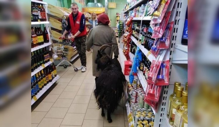 Незвичайні покупці в супермаркетах, 30 фото