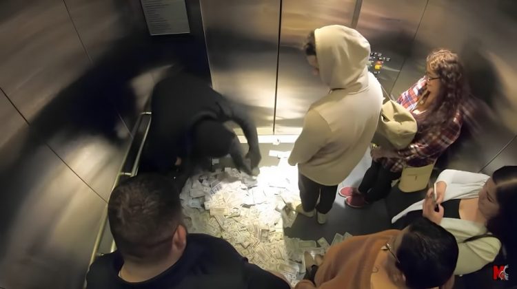 Elevator Chronicles: Odd and Hilarious Moments in Pictures