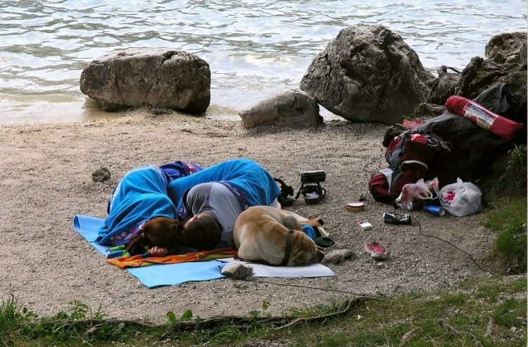 Laughing in the Great Outdoors: A Comedic Collection of Camping Catastrophes